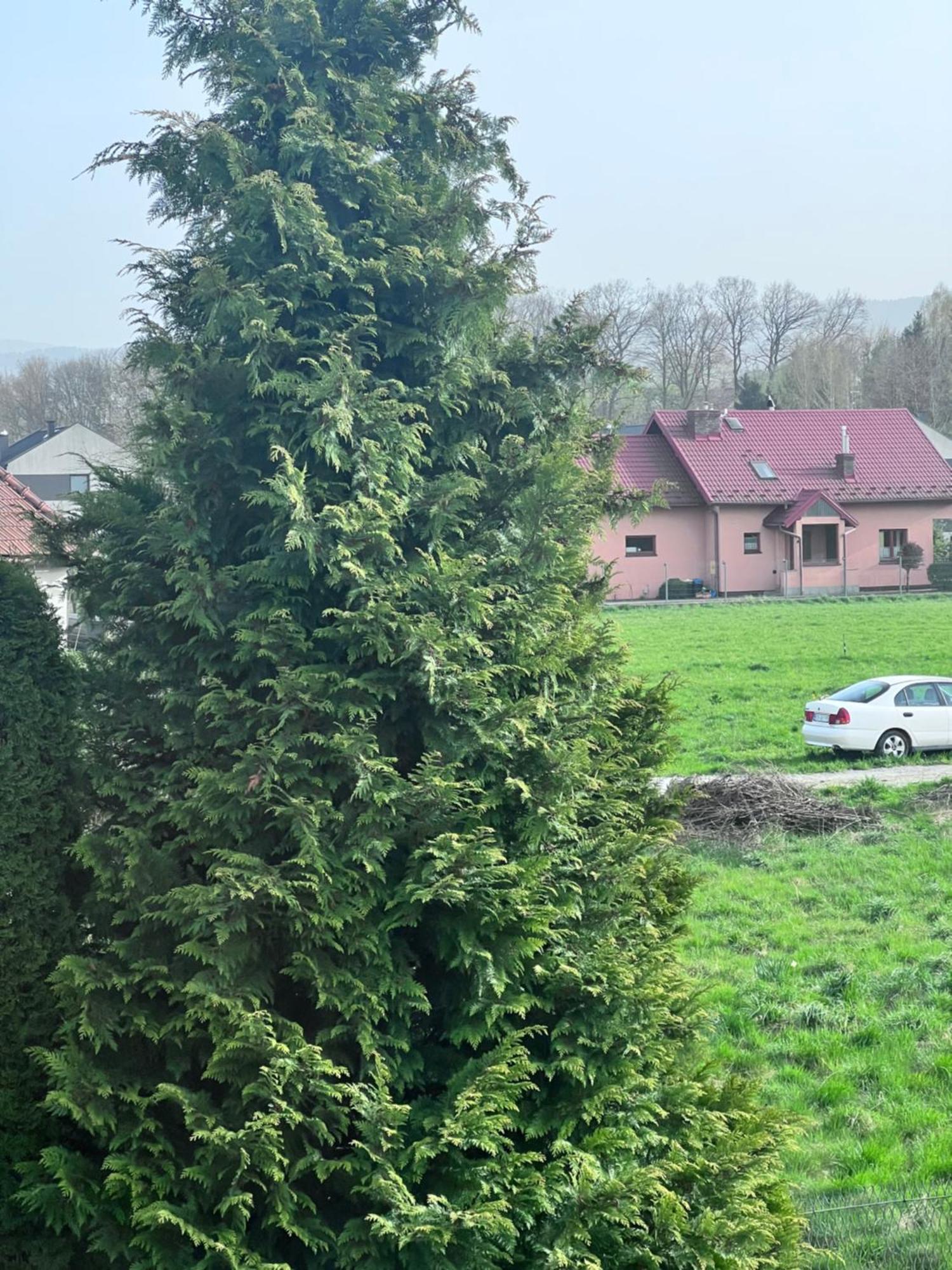 Apartament Nawojowski Nowy Sącz Εξωτερικό φωτογραφία